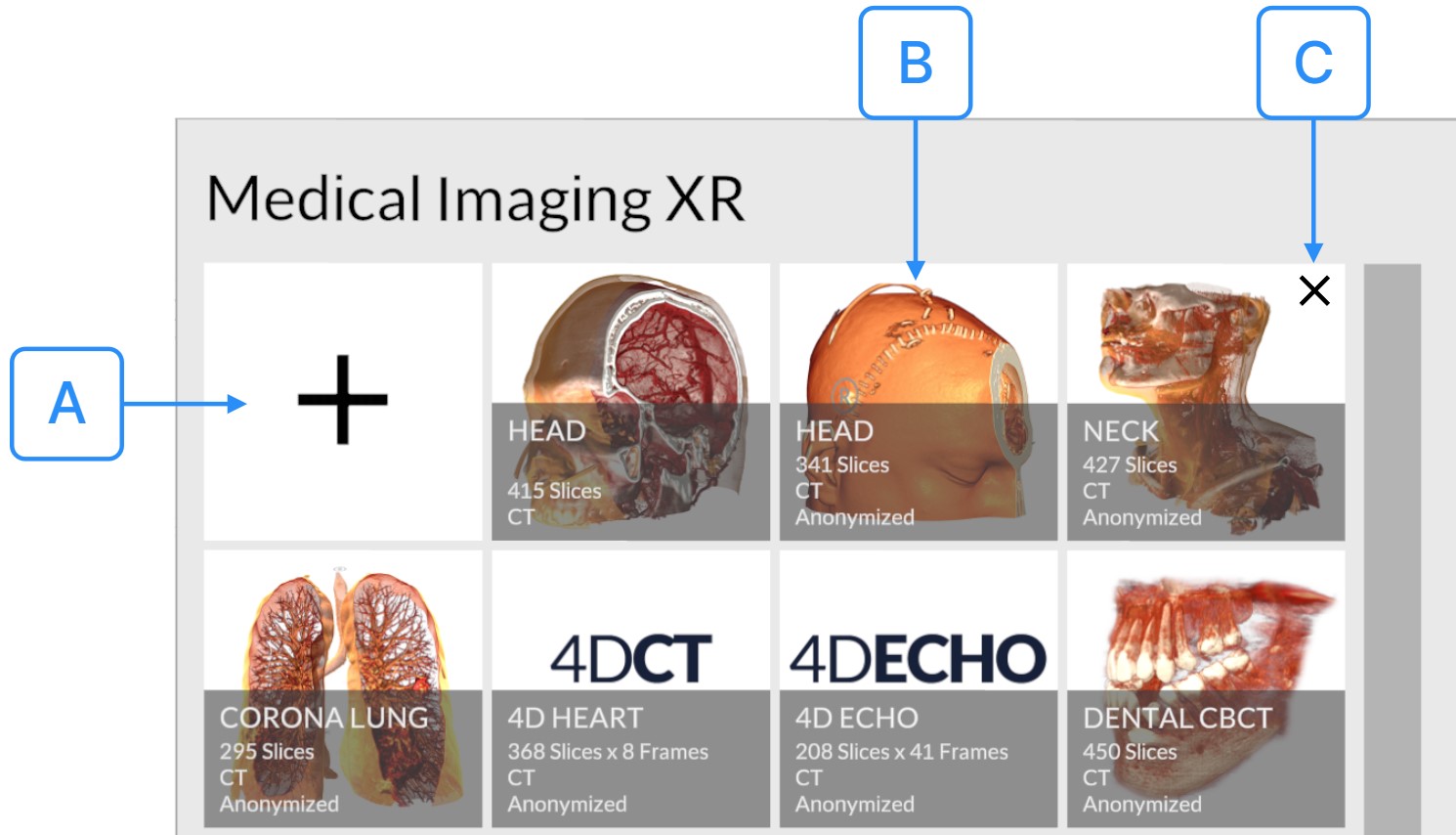 Medical Imaging XR Section
